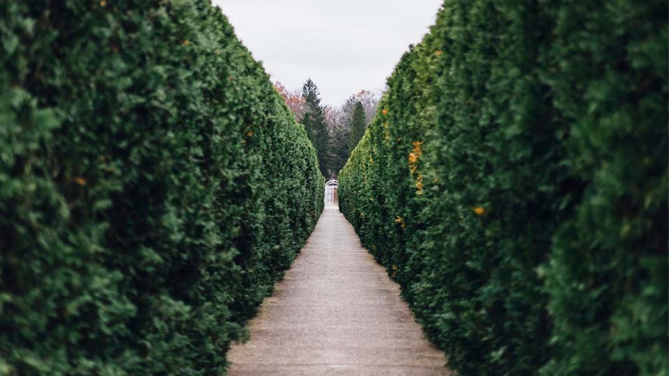 what are hedge funds - alternative investments - accredited investors