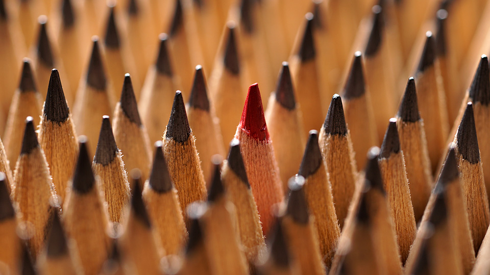 How alternative investments can fit into your portfolio and wealth management needs - Endowus Private Wealth