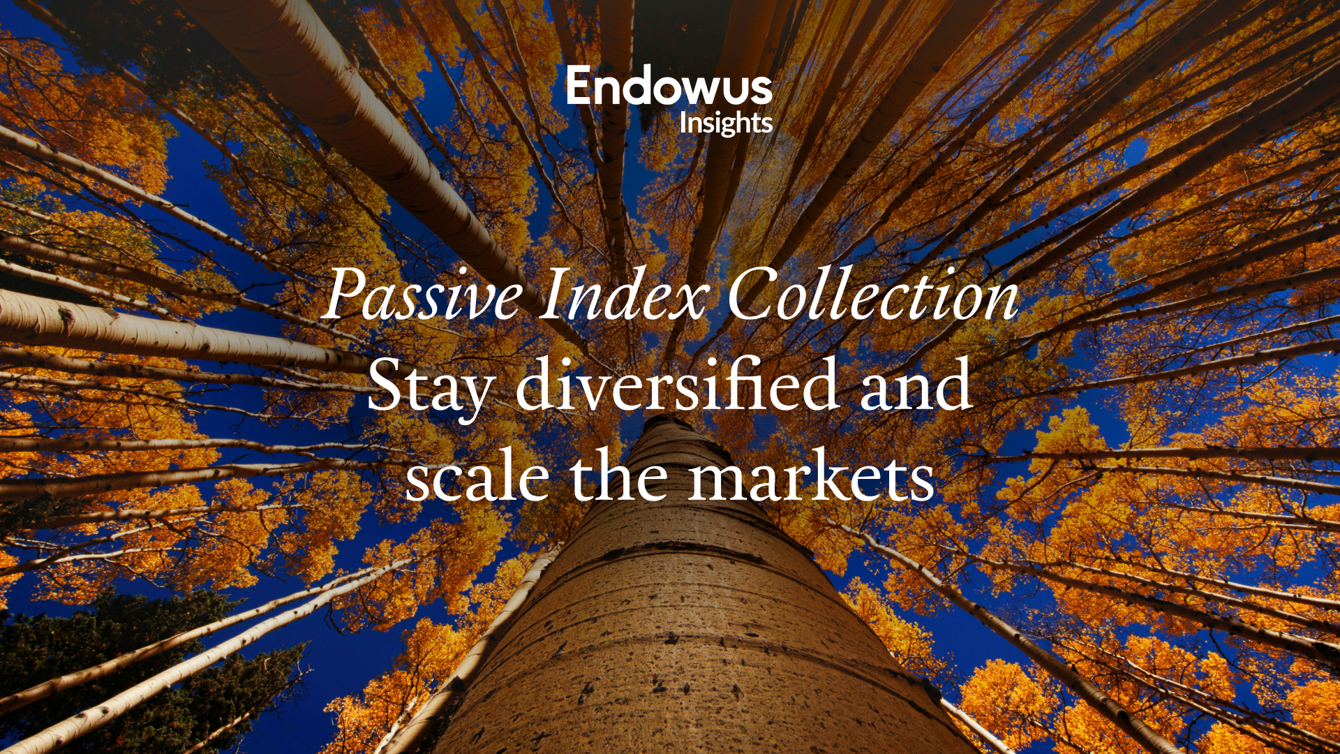 Stay diversified with our passive index collection