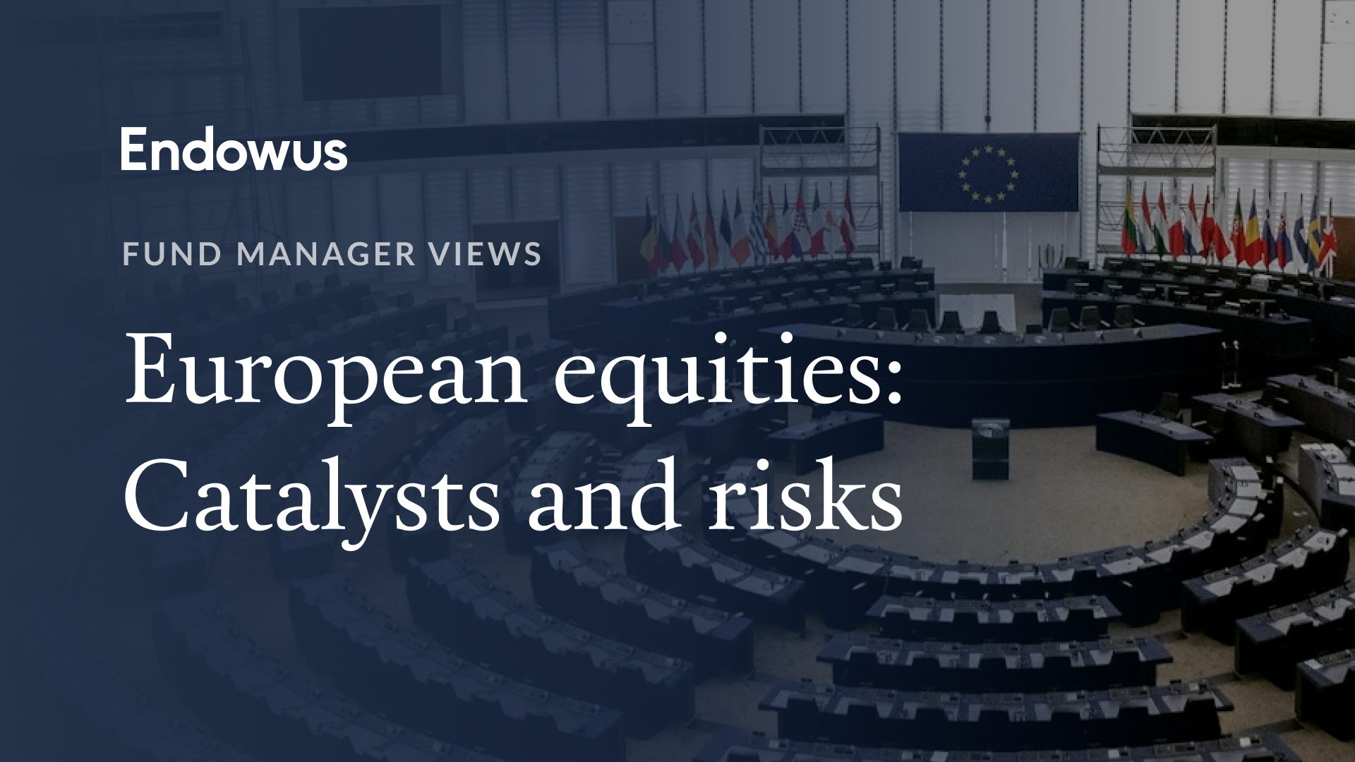 Catalysts and risks in European equities: Fund manager views 