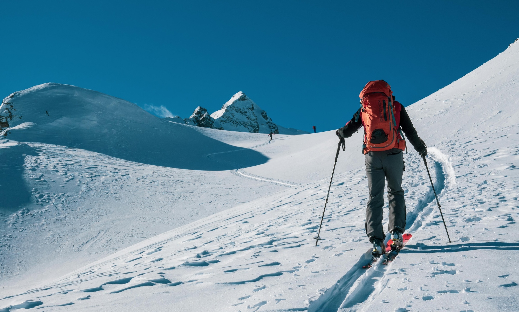 Endowus Q4 2025 portfolio performance review