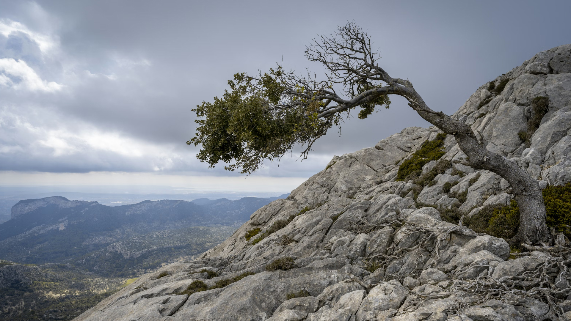 As rates declined, how did private credit perform in 2025?