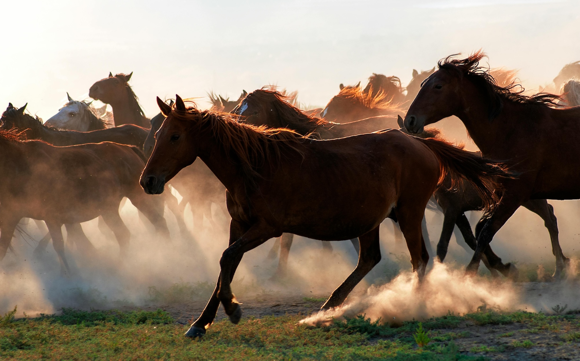 Endowus January 2026 Portfolio Performance Review